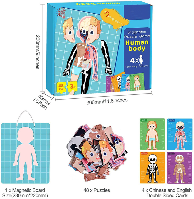 48pcs Educational Magnetic Human Body Jigsaw Puzzle Toys For 3 Year Old Toddler 0